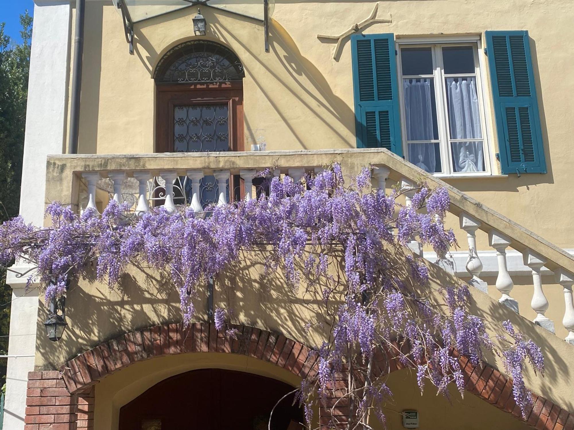 Villa Angelina - Casa Glicine 瓦莱克罗夏 外观 照片